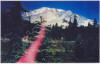 Mount Shasta Violet Flame
